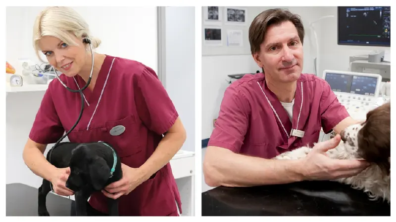 Forschungspreis für Arbeit zur Herzgesundheit