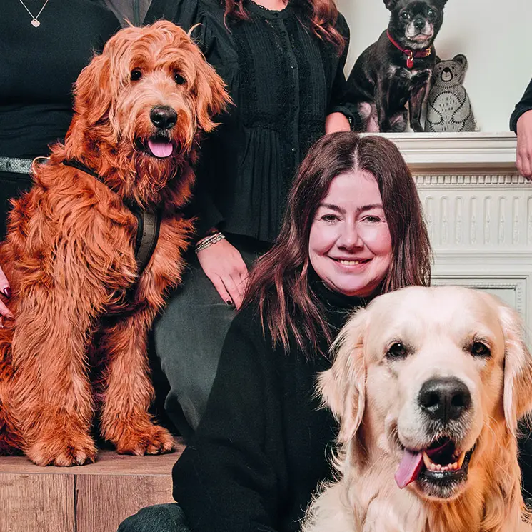 Schöne Dinge für Hunde