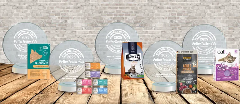 Anerkennung für Qualität und Innovation