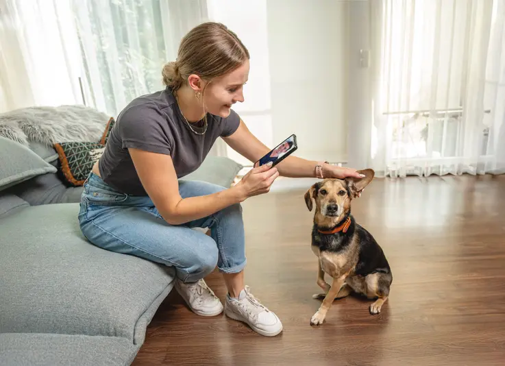 Das Futterhaus kooperiert mit Haustierdocs.de