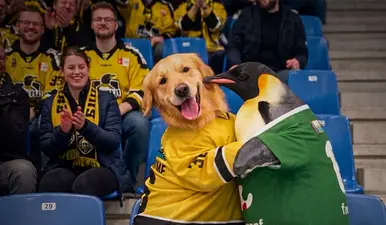 Fressnapf unterstützt die Krefeld Pinguine