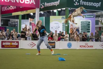 Drei Tage für Hund und Mensch