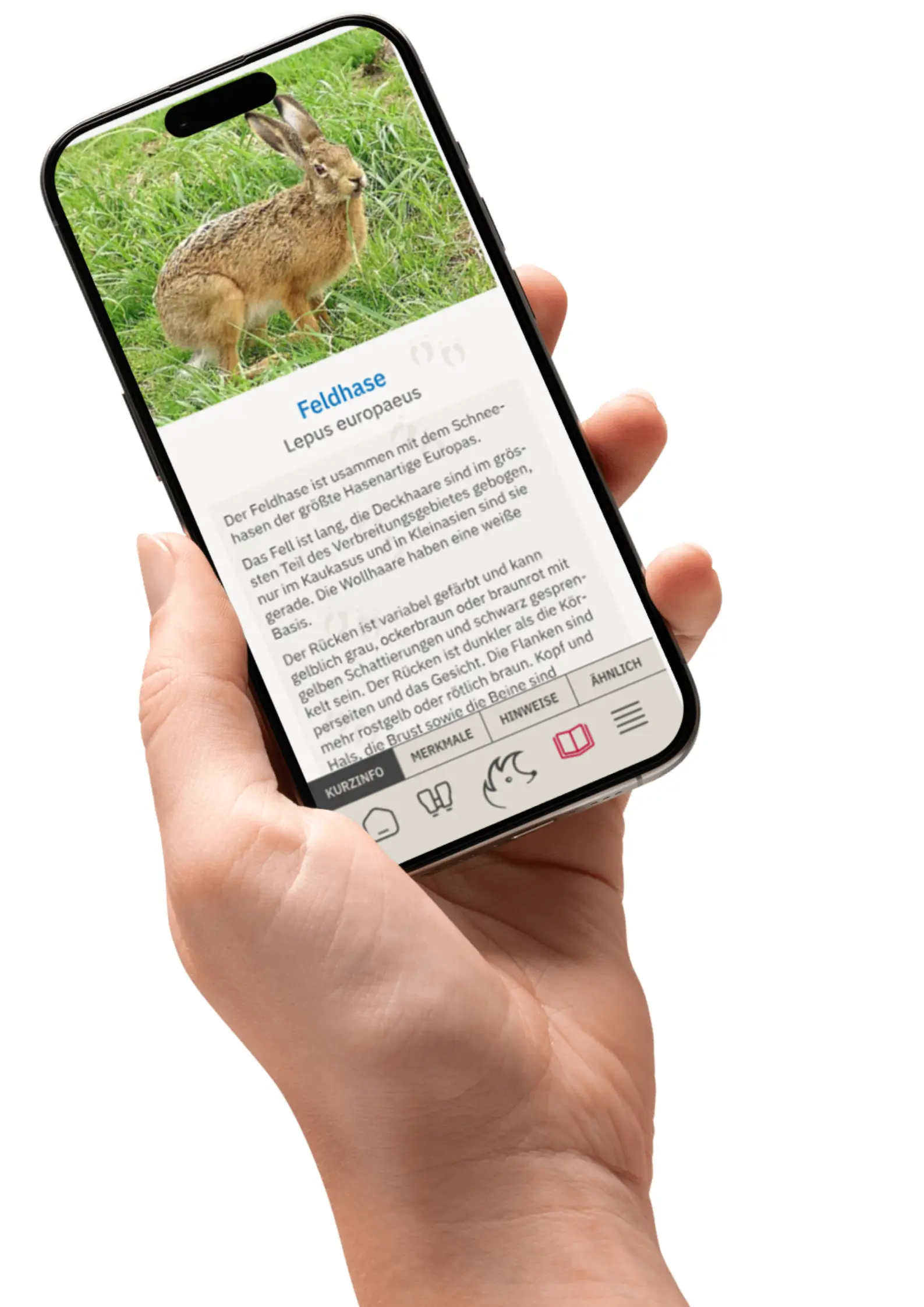 Neue App hilft bei Fund eines Wildtieres