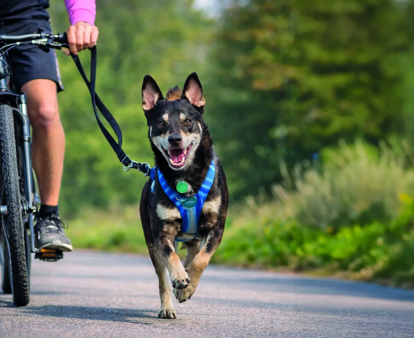 Radfahren ohne Fehlbelastung
