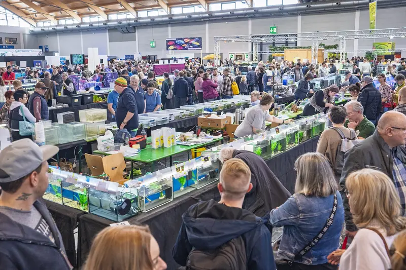 17.000 Besucher auf der Aqua-Fisch