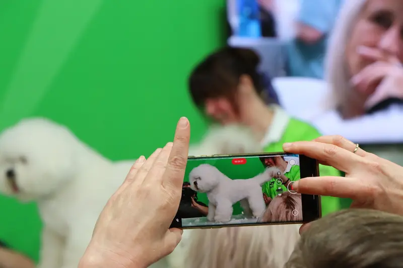 Nachhaltigkeitskonferenz und erster International Groomer´s Day