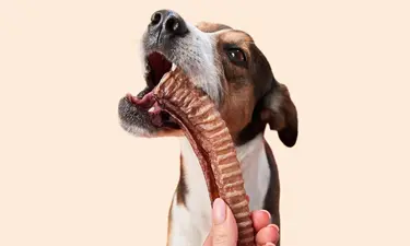 Mehr als nur ein kleiner Bissen