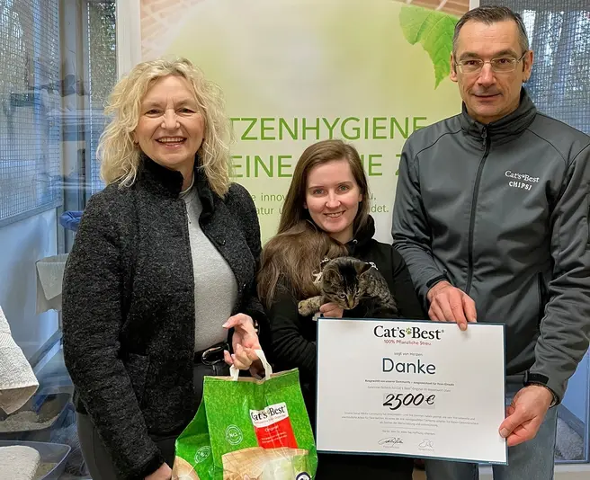 Unterstützung für Katzen in Not