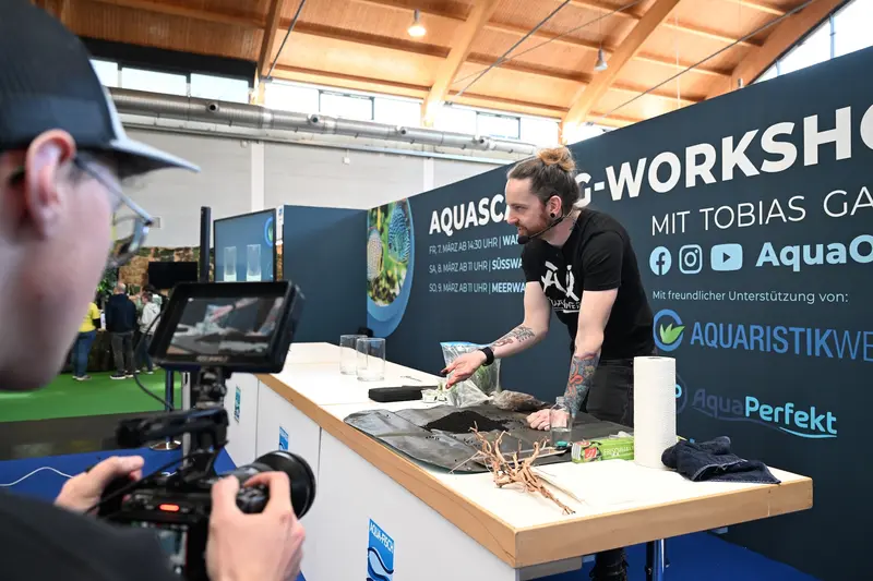 Wenn die Leidenschaft für Fische lockt