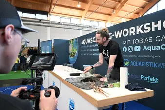 Wenn die Leidenschaft für Fische lockt