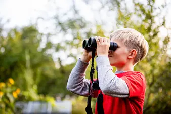 Junge Eichhörnchen-Forschende gesucht