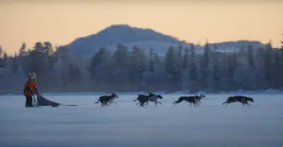 Silber beim World Media Festival gewonnen