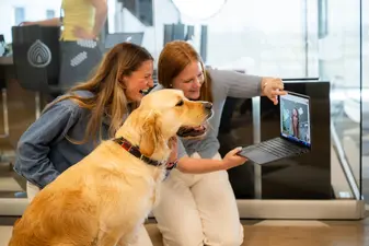 Der Hund als entscheidender Faktor