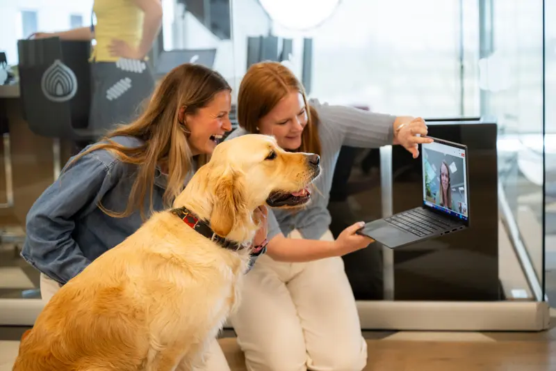 Der Hund als entscheidender Faktor
