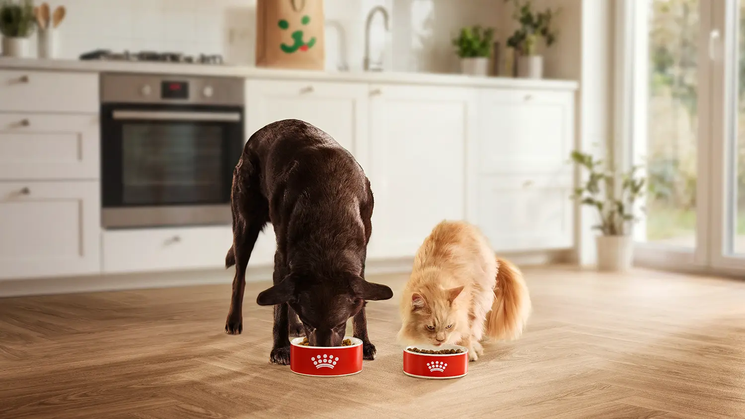 Fressnapf nimmt Royal Canin ins Regal