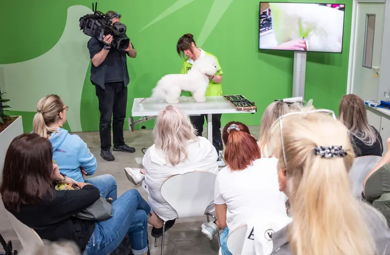 Treffpunkt für die internationale Szene