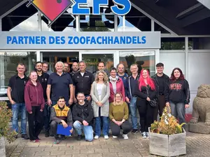 Für alle Wissenslevel was dabei