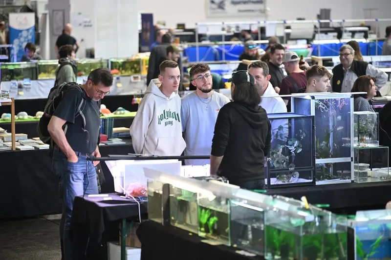 Aqua-Fisch bringt frische Ideen