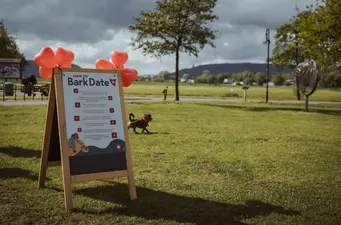 Zooplus sponsort Bark Date-Events
