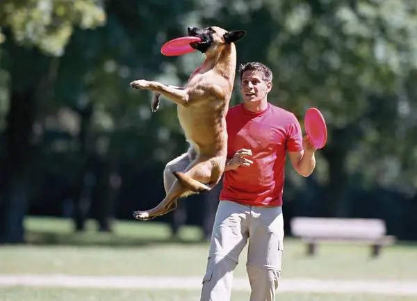 Mann spielt Frisbee mit Hund