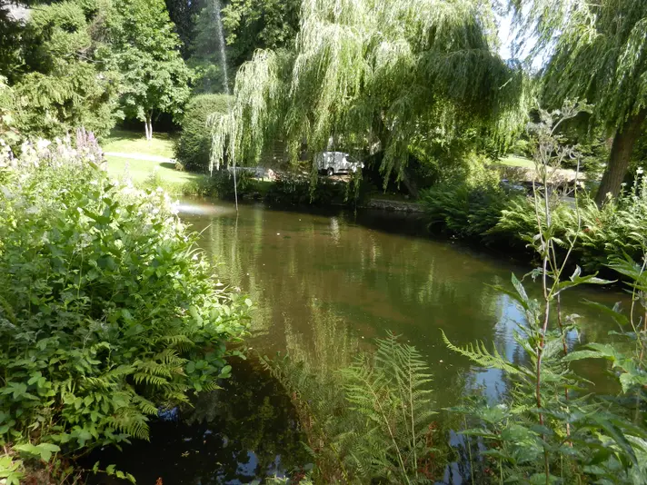 Stilllegung des Gartenteichs nicht ausgeschlossen 