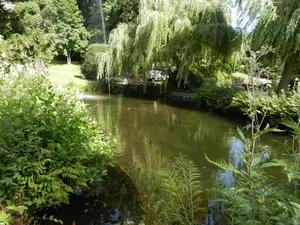 Stilllegung des Gartenteichs nicht ausgeschlossen 