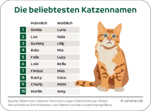 Melodisch, kurz, einprägsam 