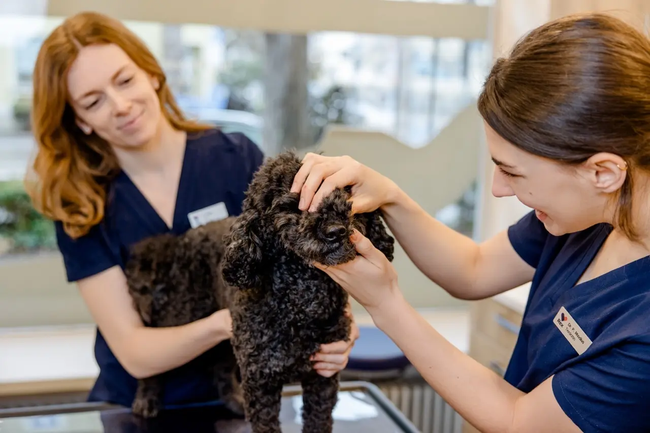  Termine digital planbar