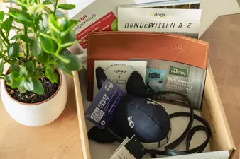 Hunter und Edogs starten Kooperation für mehr Sicherheit