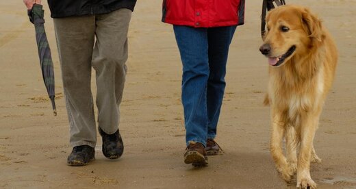Hund mit Herrchen und Frauchen beim Spaziergang am Strand