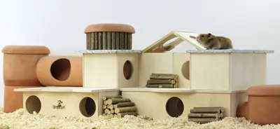 Inspiration aus der Natur