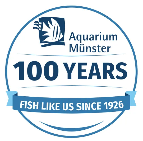 100 Jahre Aquarium Münster 