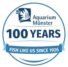 100 Jahre Aquarium Münster 