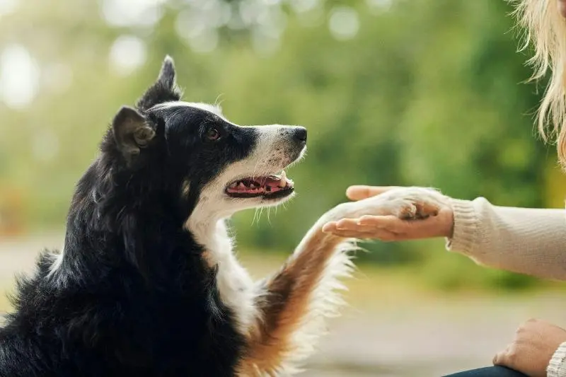 Aktiv sein und Gutes tun