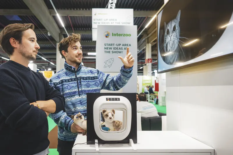 Booster für Start-ups