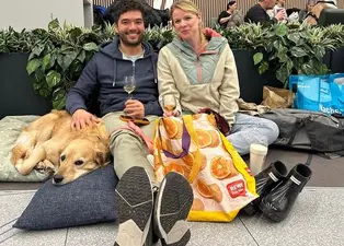 Ruhiger Jahreswechsel für Hunde