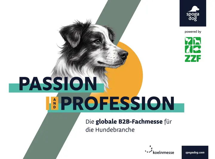 Aktuelle Trends im Hundemarkt