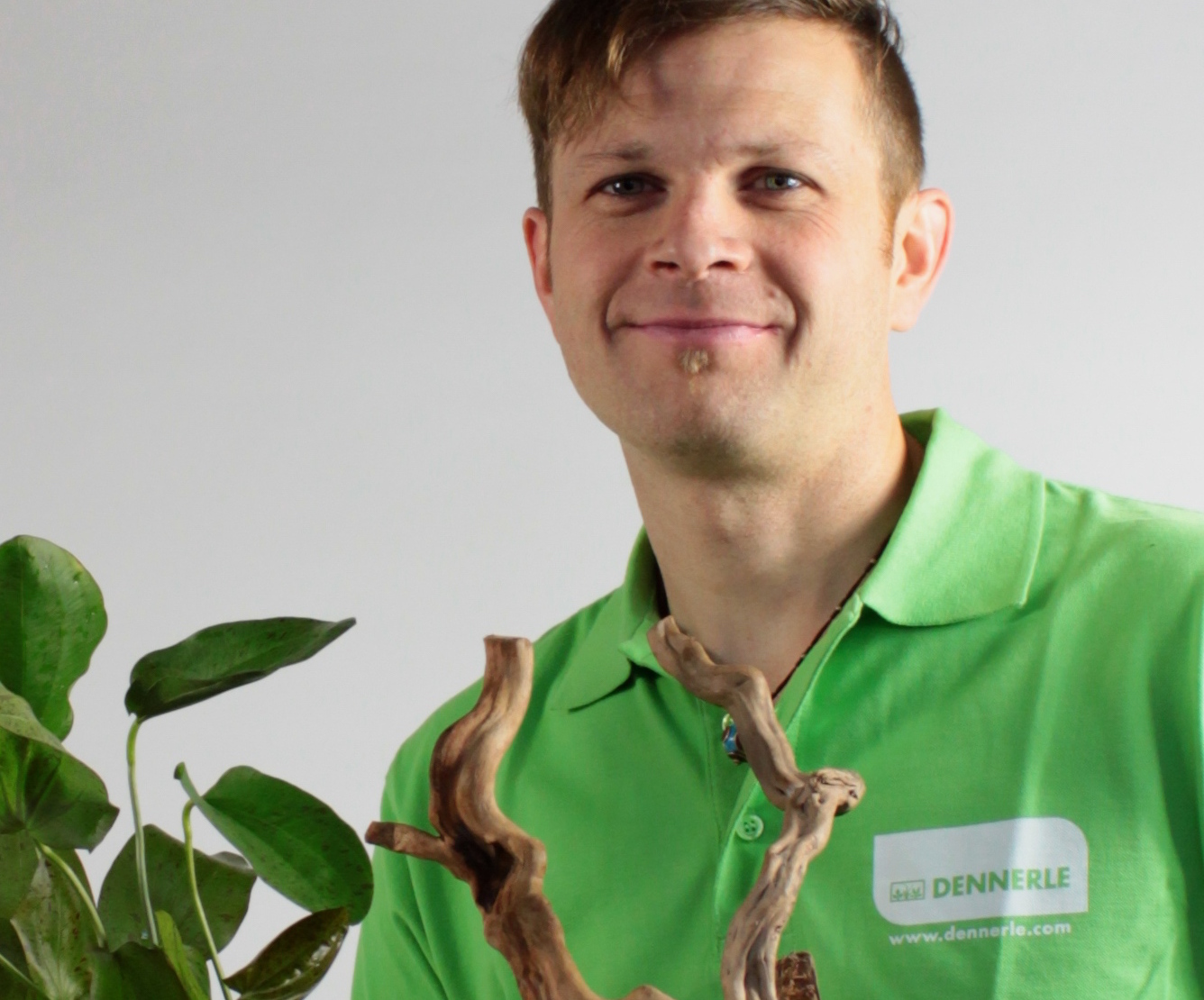 Dennerle__Verstärkung durch Aquascaper