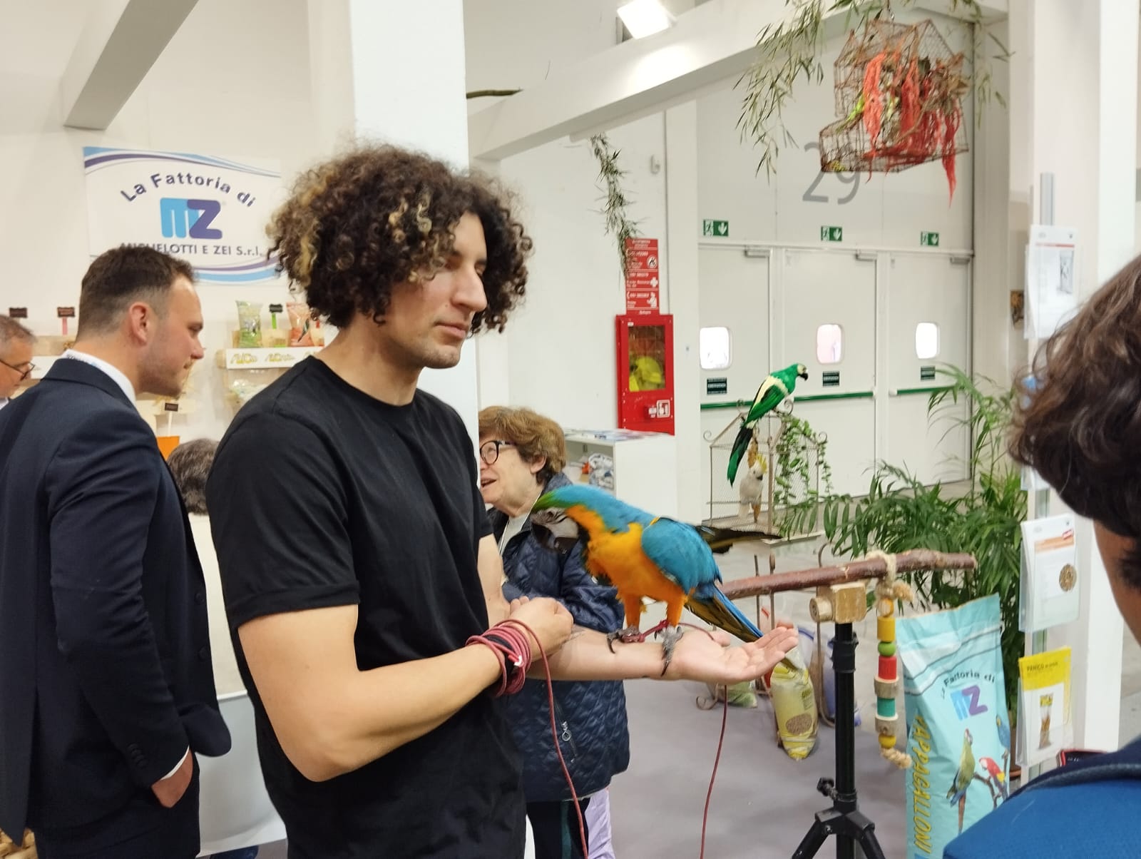 Bologna__Zoomark ihre Tore