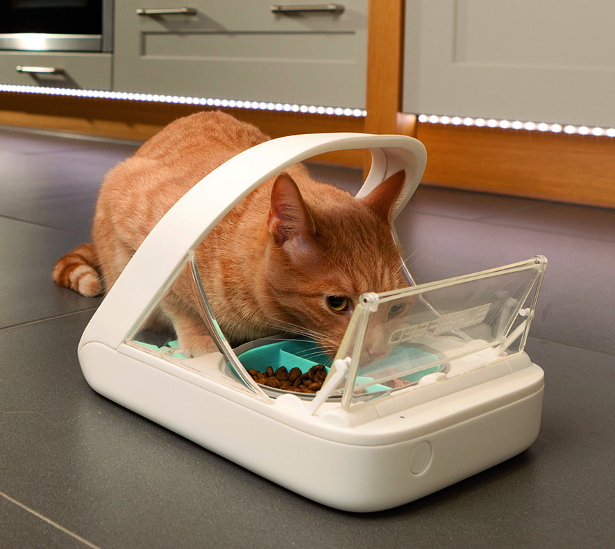 Praktisch__Futterautomat für Katzen
